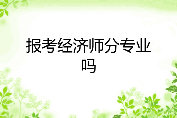 报考经济师分专业吗