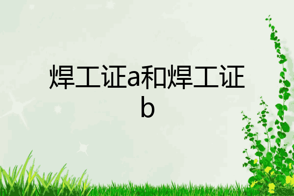 焊工证a和焊工证b