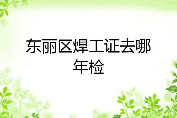 东丽区焊工证去哪年检