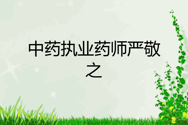 中药执业药师严敬之