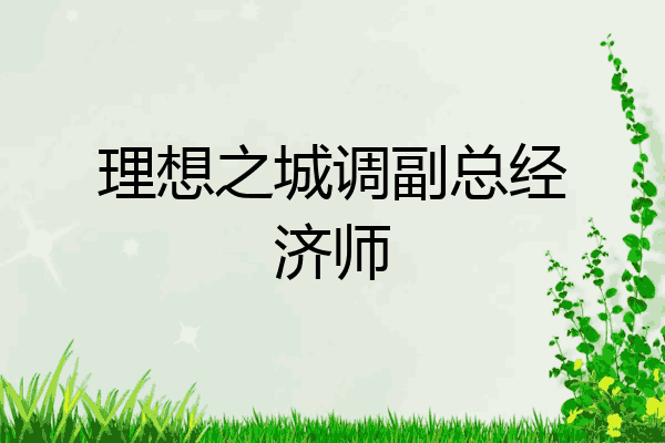 理想之城调副总经济师