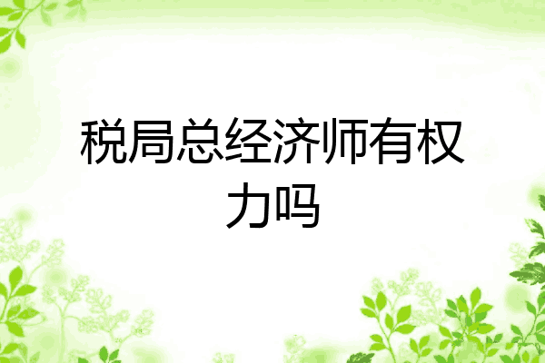 税局总经济师有权力吗
