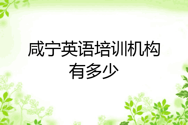 咸宁英语培训机构有多少