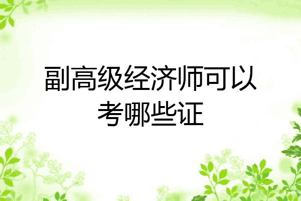 副高级经济师可以考哪些证