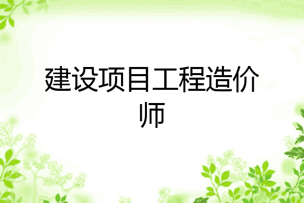 建设项目工程造价师