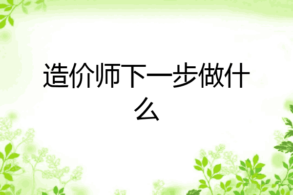 造价师下一步做什么