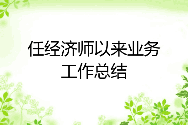 任经济师以来业务工作总结