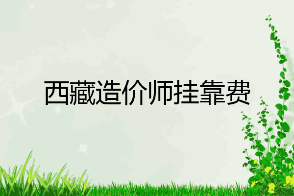 西藏造价师挂靠费