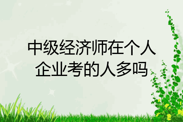 中级经济师在个人企业考的人多吗