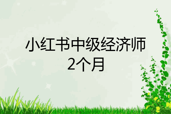 小红书中级经济师2个月