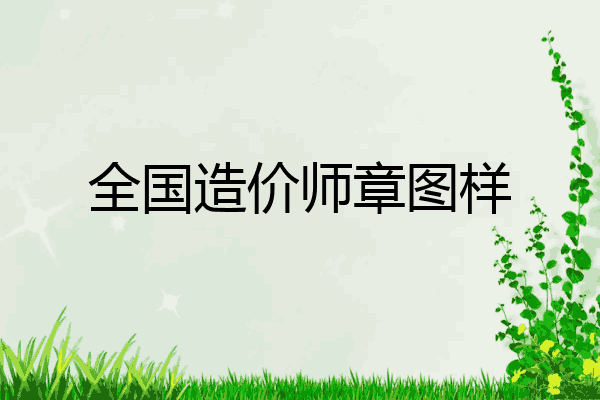 全国造价师章图样