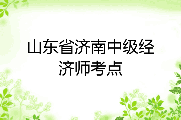 山东省济南中级经济师考点