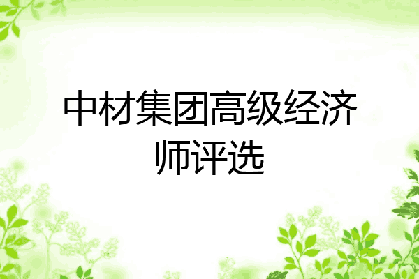 中材集团高级经济师评选