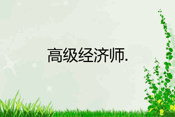高级经济师.