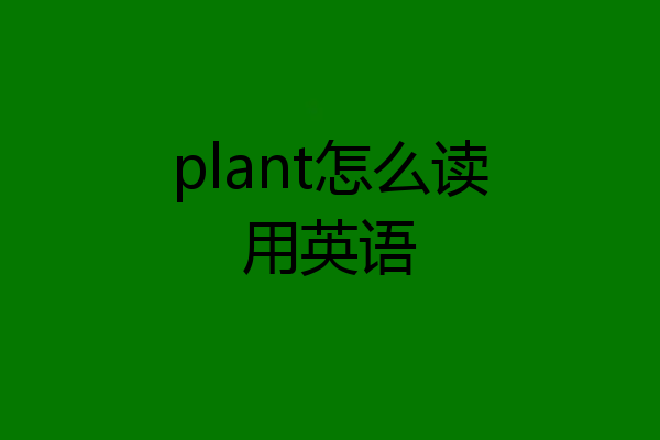 plant怎么读用英语