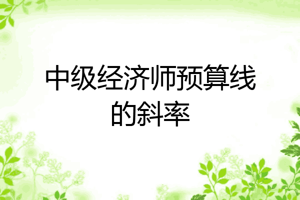中级经济师预算线的斜率