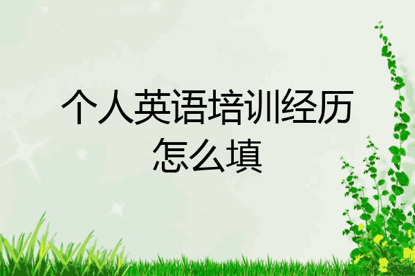 个人英语培训经历怎么填