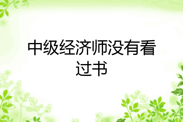 中级经济师没有看过书