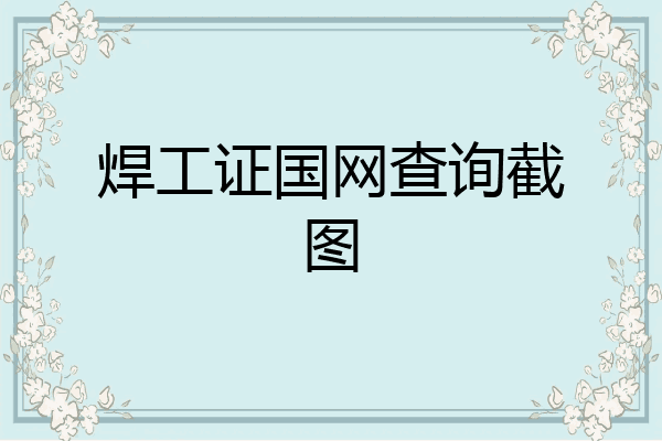 焊工证国网查询截图