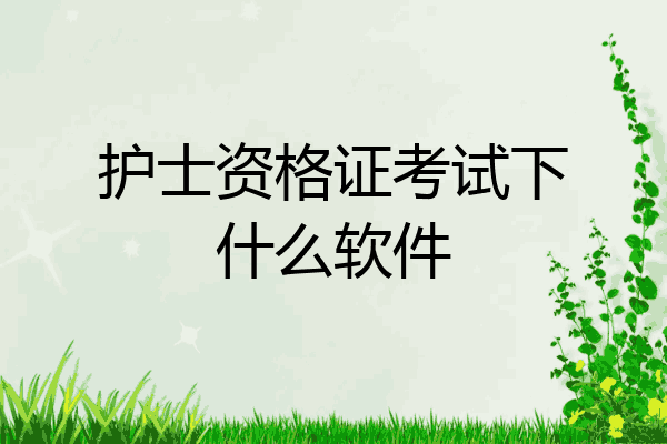 护士资格证考试下什么软件
