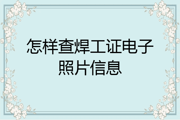 怎样查焊工证电子照片信息