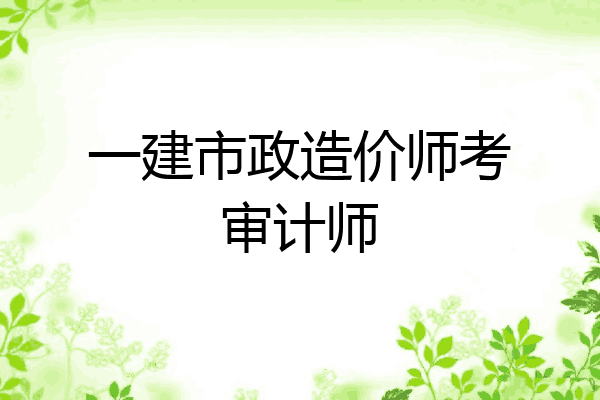 一建市政造价师考审计师