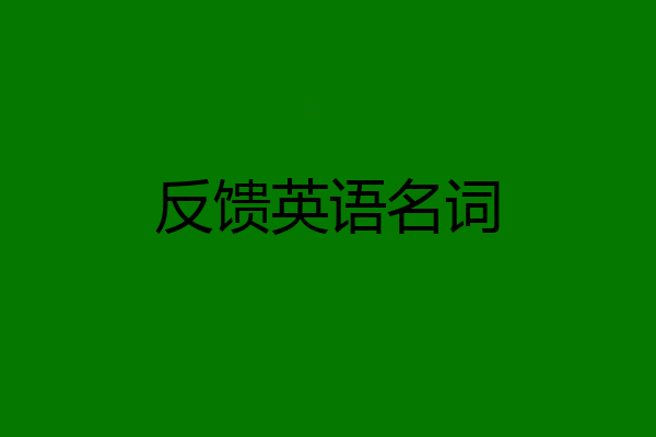 反馈英语名词