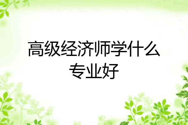 高级经济师学什么专业好