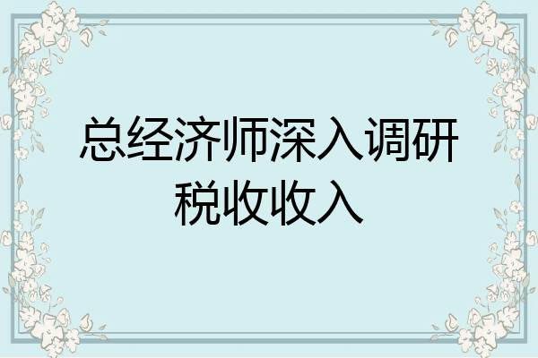 总经济师深入调研税收收入