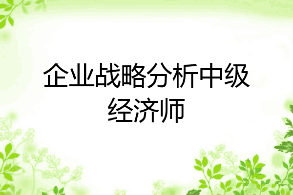 企业战略分析中级经济师
