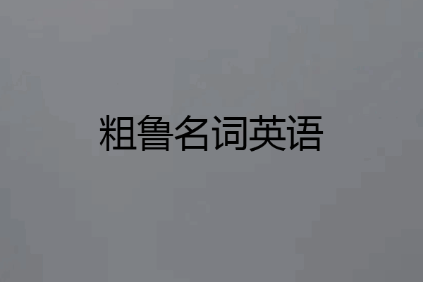 粗鲁名词英语