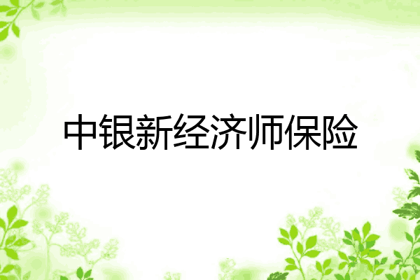 中银新经济师保险