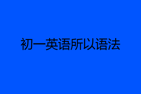 初一英语所以语法
