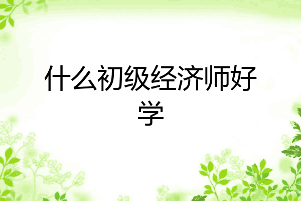 什么初级经济师好学