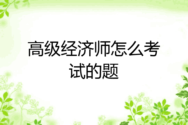 高级经济师怎么考试的题