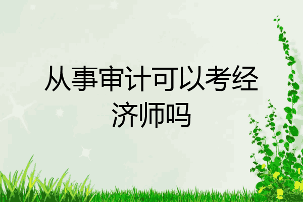 从事审计可以考经济师吗