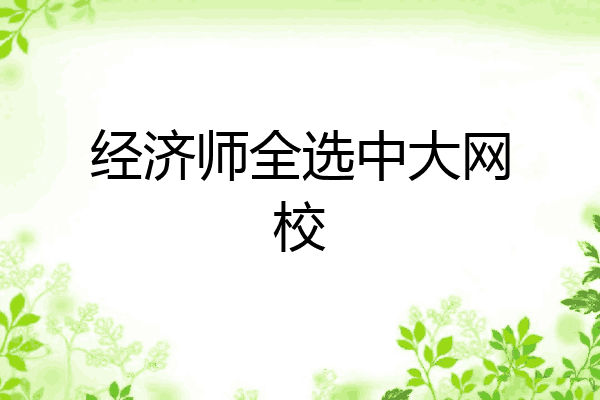 经济师全选中大网校