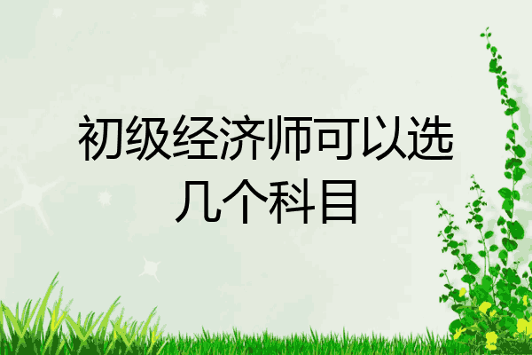 初级经济师可以选几个科目