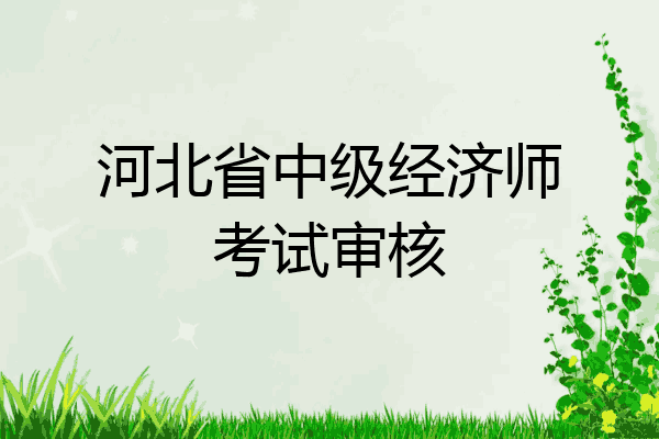 河北省中级经济师考试审核