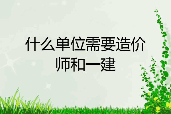 什么单位需要造价师和一建