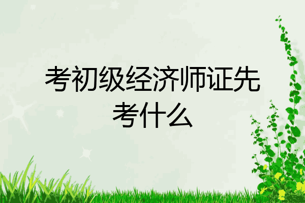 考初级经济师证先考什么