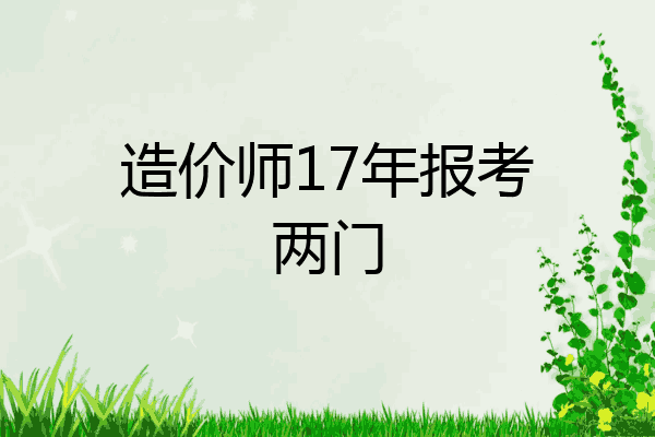 造价师17年报考两门