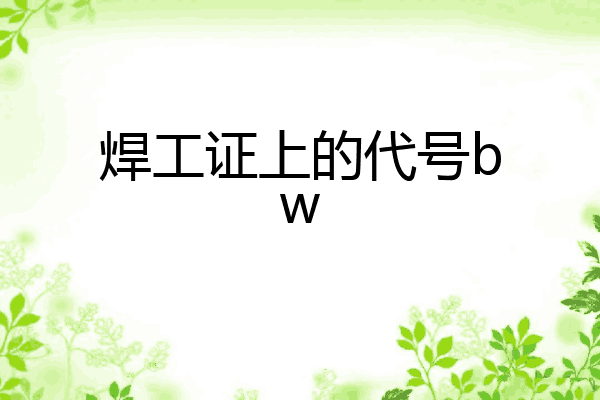 焊工证上的代号bw