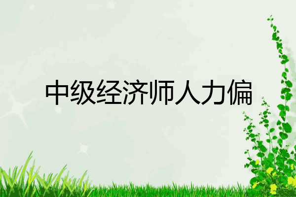 中级经济师人力偏