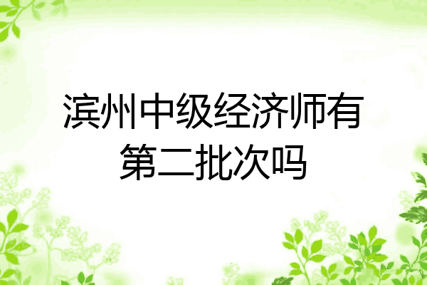 滨州中级经济师有第二批次吗