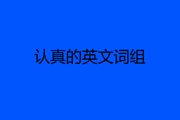 认真的英文词组