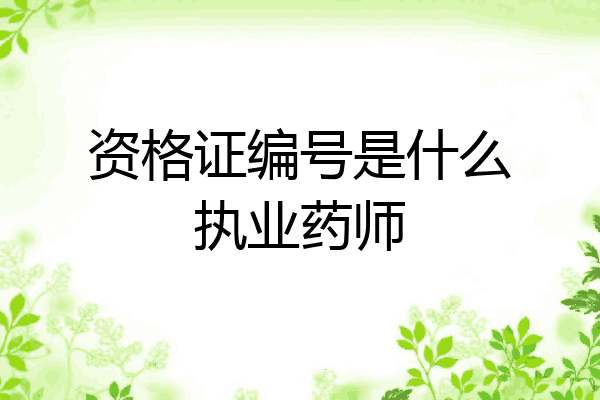 资格证编号是什么执业药师