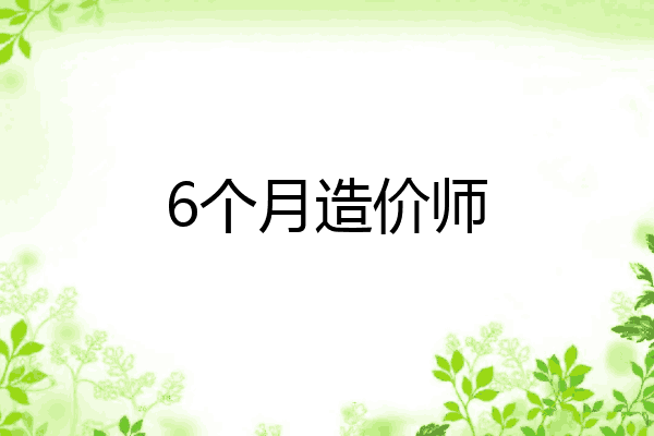 6个月造价师