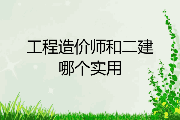 工程造价师和二建哪个实用