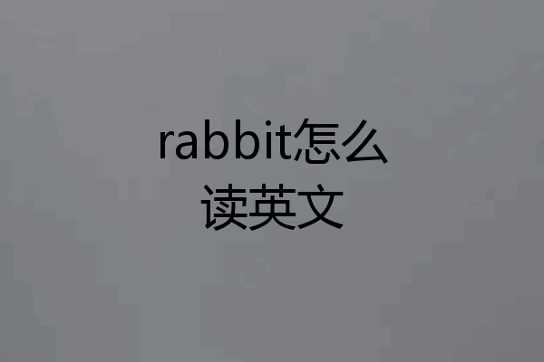 rabbit怎么读英文